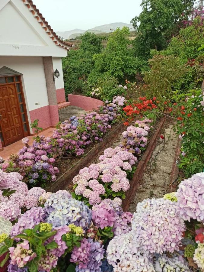 Mar De Flores Vega de San Mateo Eksteriør bilde