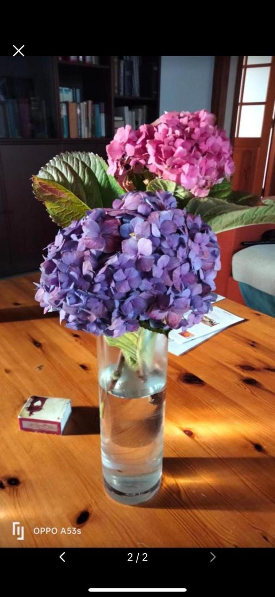 Mar De Flores Vega de San Mateo Eksteriør bilde